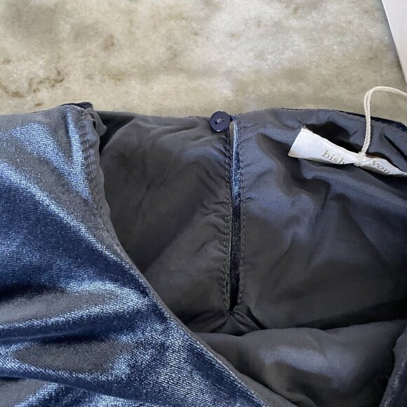 Bishop + Young NWT Hayden Velvet Dress Womens Sz L Blue Shift Knee Length Retro - Picture 5 of 14